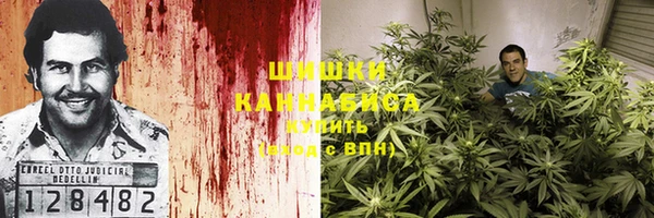 мет Арсеньев