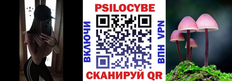 Псилоцибиновые грибы Cubensis  Верхний Уфалей 